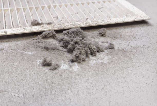 Air Duct Mold Removal in Birch Run, MI