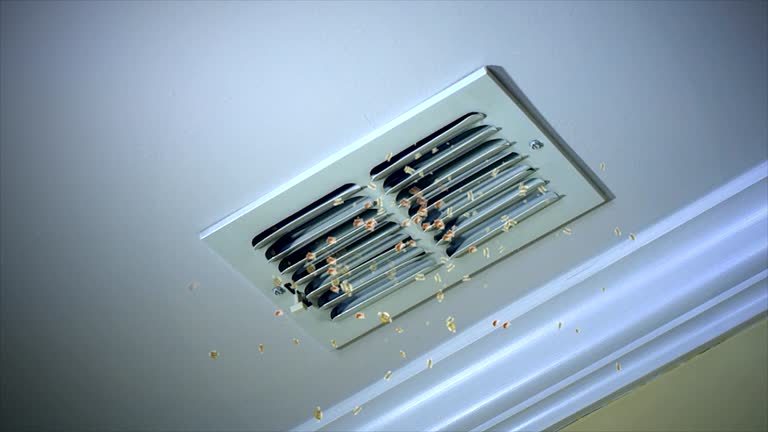 Best Ductwork Cleaning Services  in Birch Run, MI