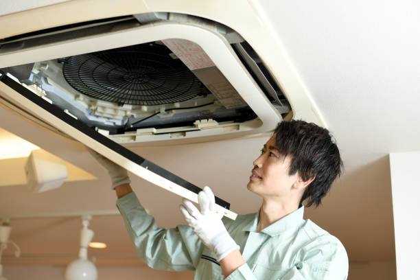 Best Best Air Duct Cleaning Near Me  in Birch Run, MI
